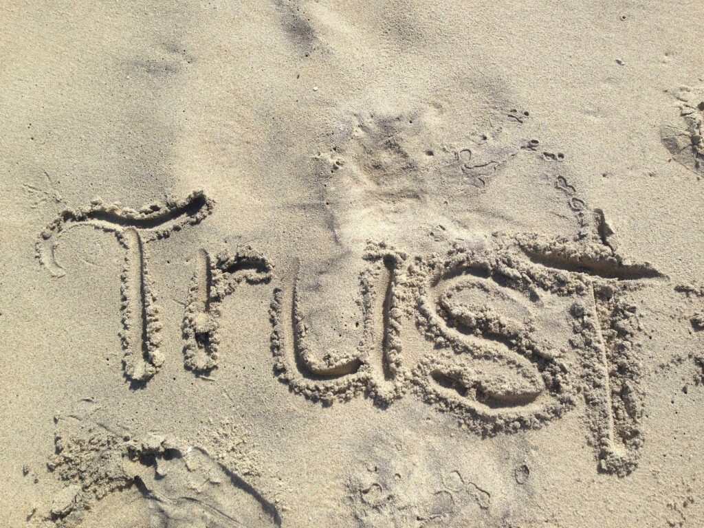 Read more about the article What Happens When You Learn To TRUST Your Self? It’s Now Or Never…