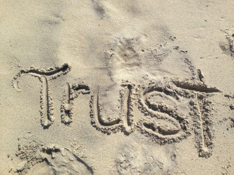 Read more about the article What Happens When You Learn To TRUST Your Self? It’s Now Or Never…