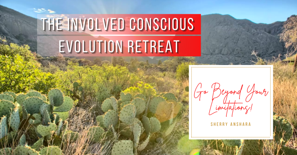 Read more about the article The Involved Conscious Evolution Retreat!