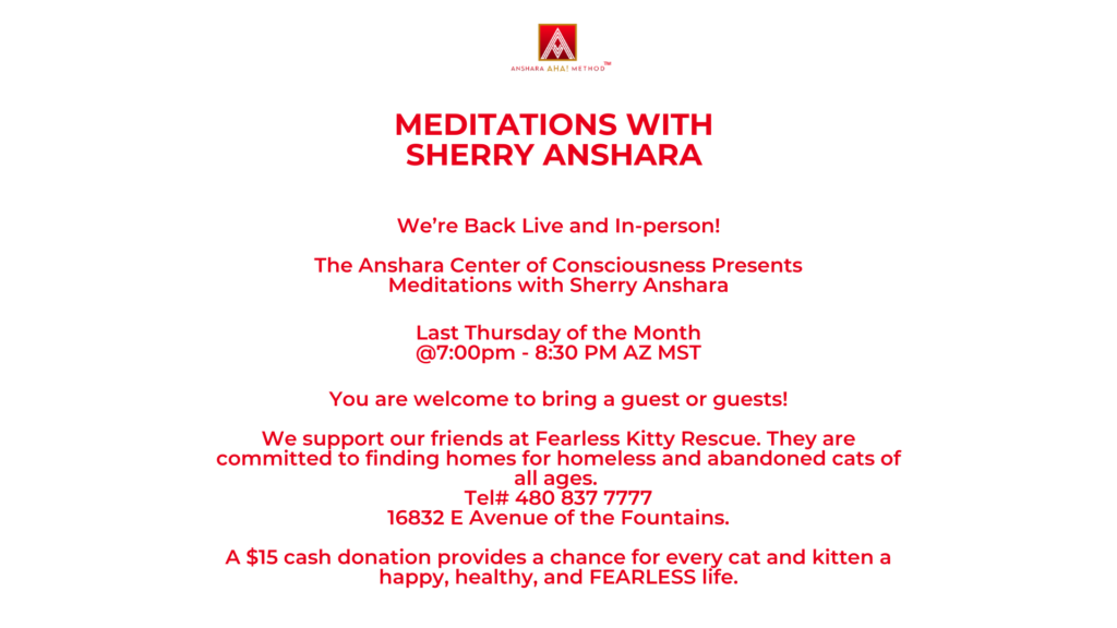 Read more about the article Meditations with Sherry Anshara